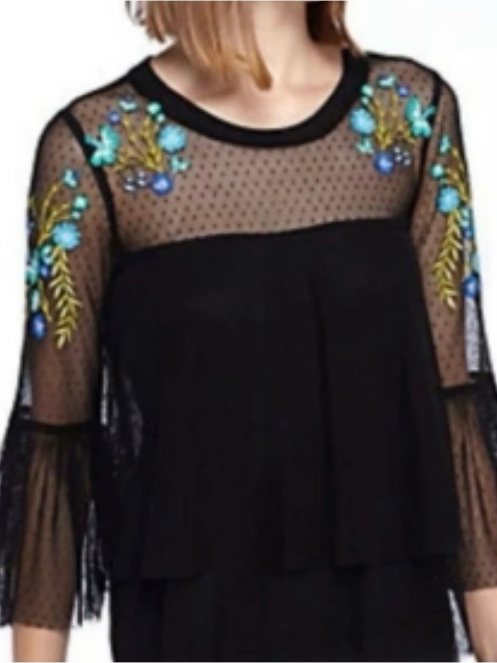 Kaari Blue Black Sheer Dot Mesh Top with Blue and Green Floral Embroidery
